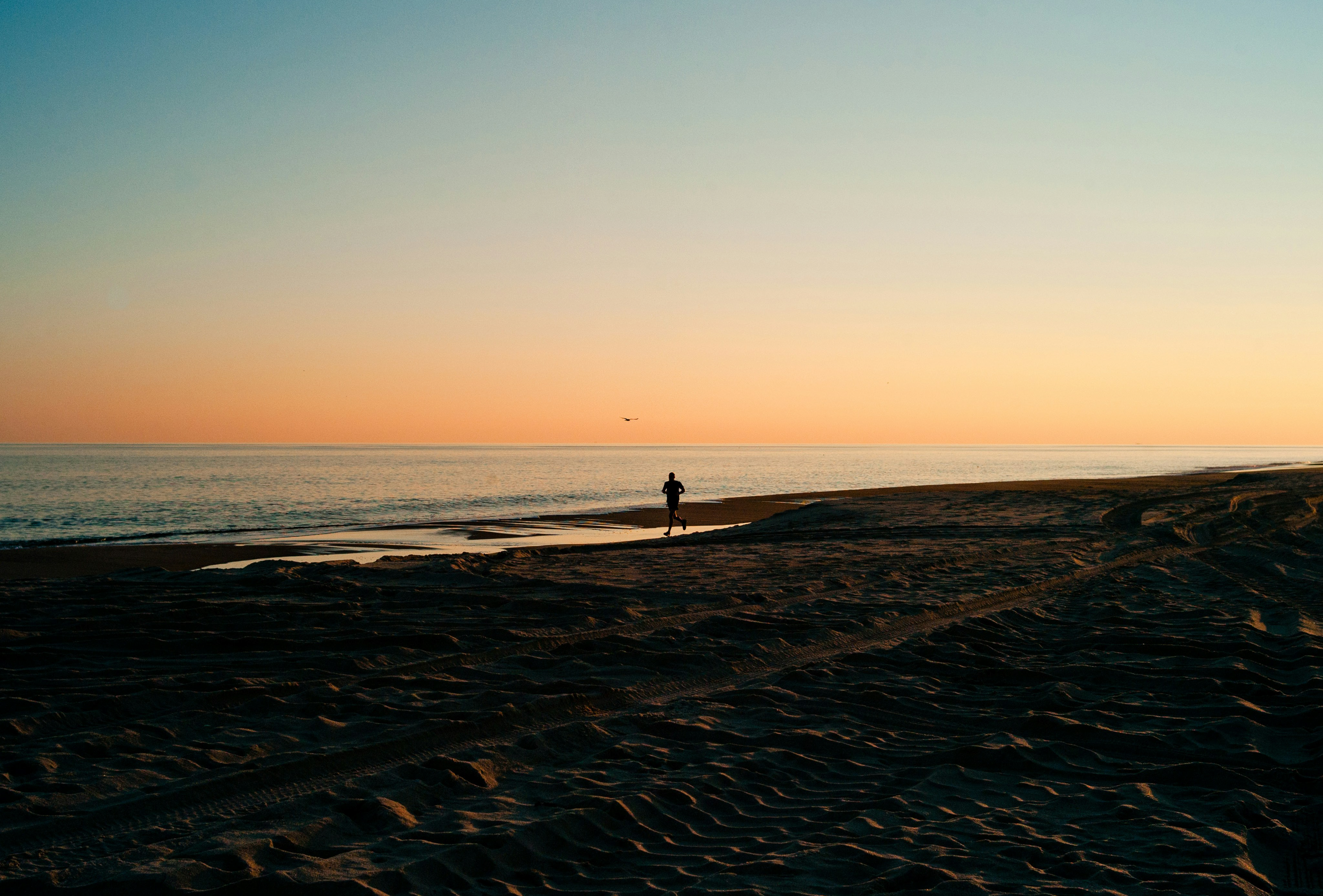 Financial Freedom Factor